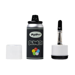 BIGFUN! BLINKSY 510 BATTERY