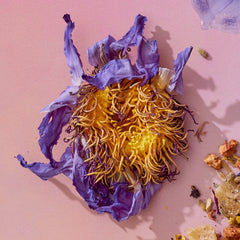 Blue Lotus Flower