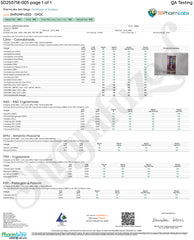 Shrumfuzed Gummies 10pk- Dark Chocolate Crunch