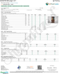 Shrumfuzed Gummies 10pk- Dark Chocolate