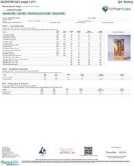 Shrumfuzed Gummies 10pk- Summer Peach