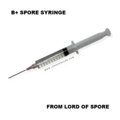 Lord Of Spore: Psilocybe Cubensis Spores- Syringe