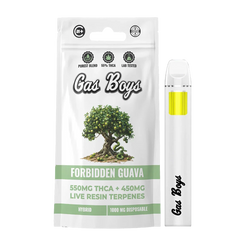 GAS BOYS THCA 1g DISPOSABLE VAPE